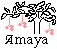 Amaya